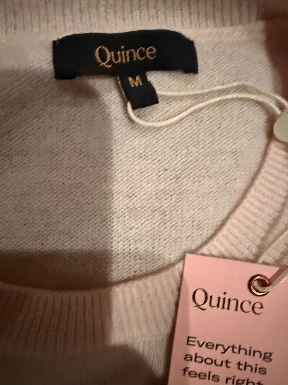 Quince Cashmere Tee - Picture 2 of 5
